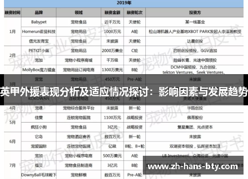 英甲外援表现分析及适应情况探讨：影响因素与发展趋势