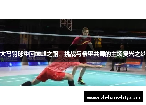 大马羽球重回巅峰之路：挑战与希望共舞的主场复兴之梦