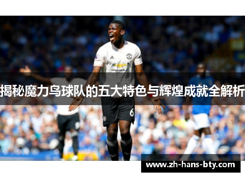 揭秘魔力鸟球队的五大特色与辉煌成就全解析 揭秘魔力鸟球队的五大特色与辉煌成就全解析