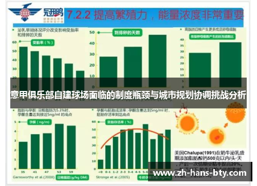 意甲俱乐部自建球场面临的制度瓶颈与城市规划协调挑战分析 意甲俱乐部自建球场面临的制度瓶颈与城市规划协调挑战分析