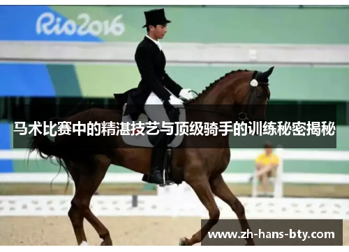 马术比赛中的精湛技艺与顶级骑手的训练秘密揭秘